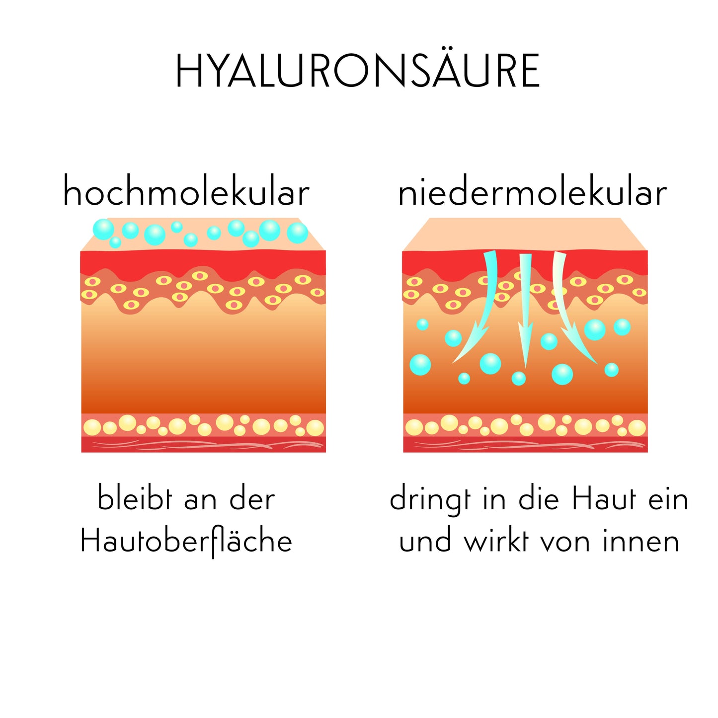FALTEN AUFPOLSTERN & GLÄTTEN - Hyaluron Konzentrat 2.6