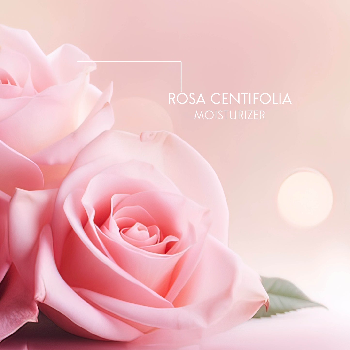 Classic Rose Serum & Creme - Hydration & Regeneration