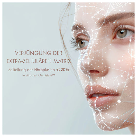 Orchideen Stammzellen Lifting Serum