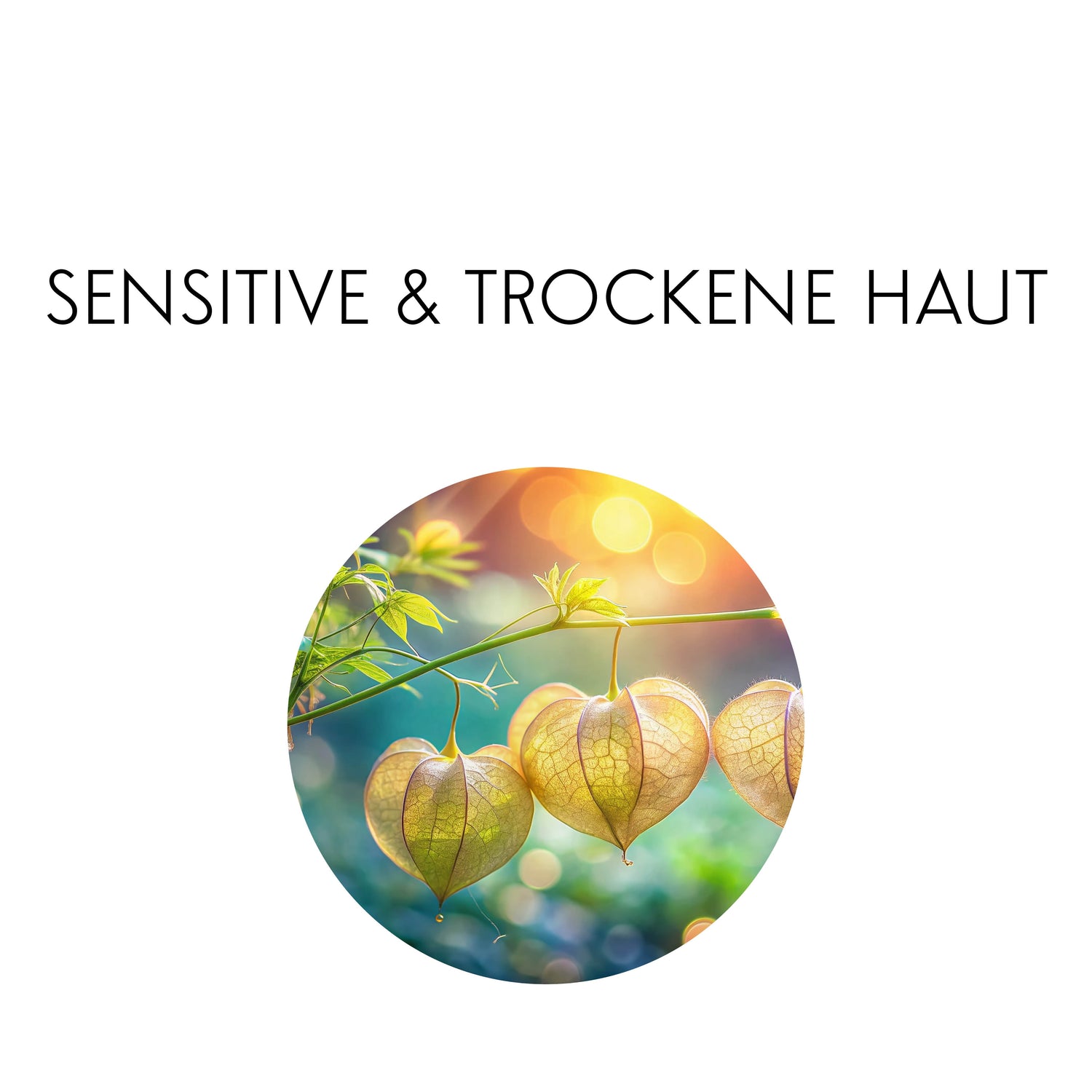 Sensitive und trockene Haut