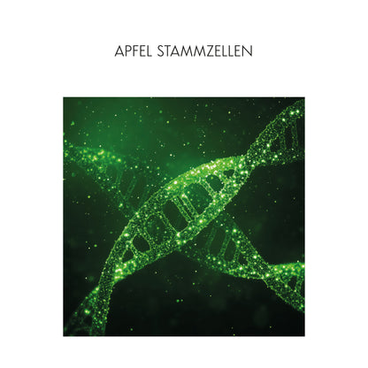 Christmas Set No. 3 - NOVA LIFT STEM CELL Cream - Mask - Eye-Lift