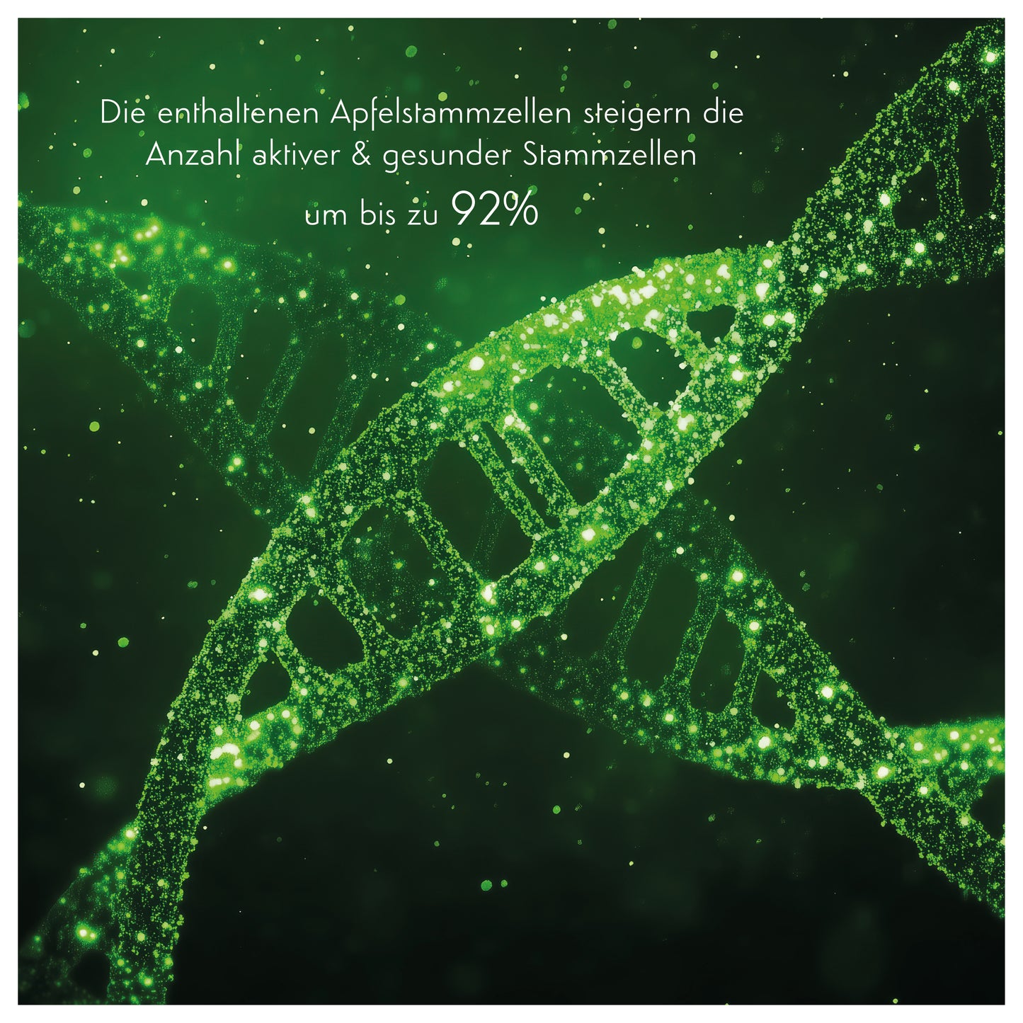 Hautbild STRAFFEN & VERFEINERN & VERJÜNGEN - Apfel Stammzellen Creme
