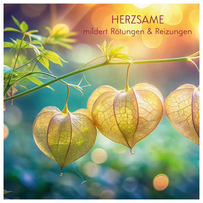 Hautbild STRAFFEN & VERFEINERN & VERJÜNGEN - Apfel Stammzellen Creme