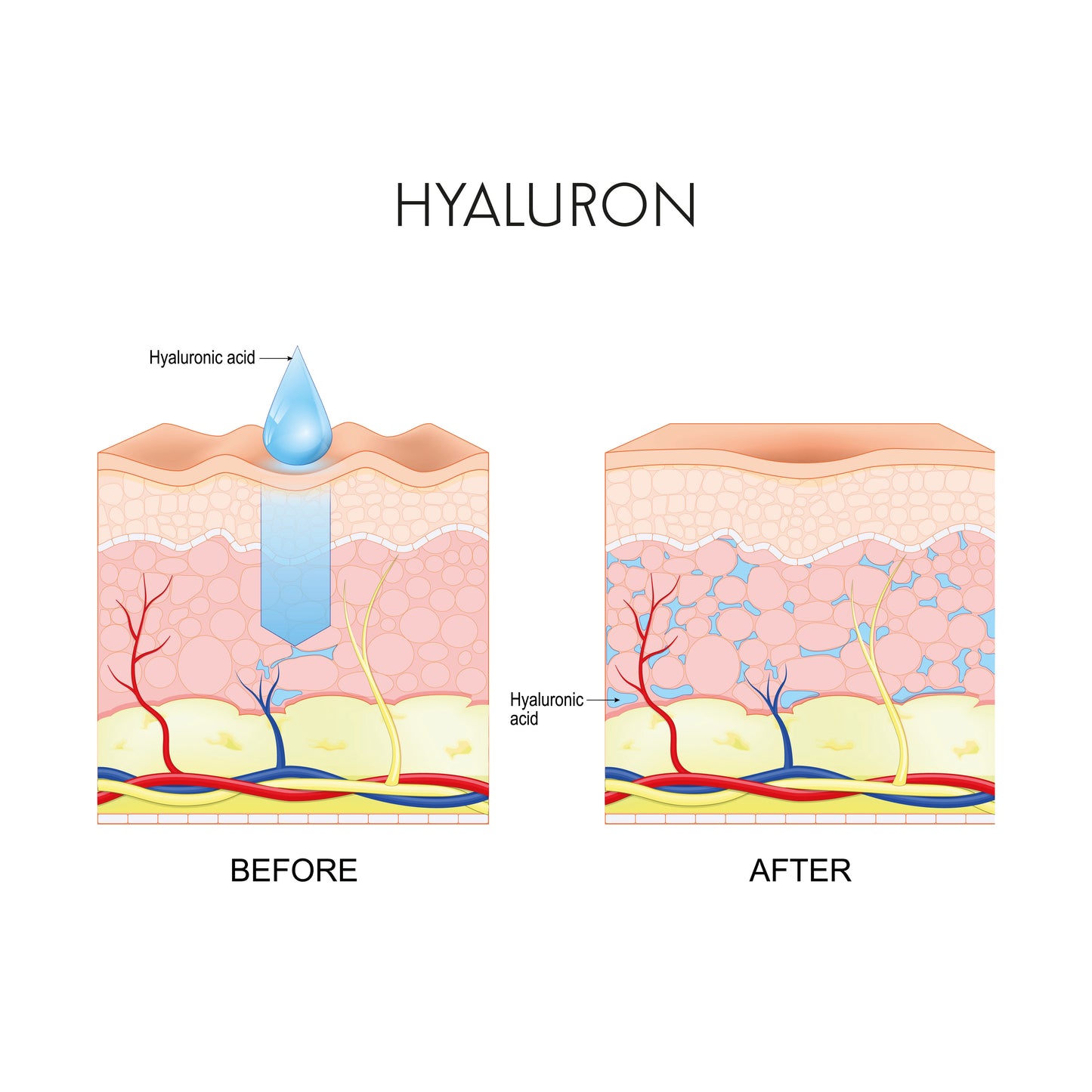 Christmas Set No. 2 -  Night- and Day Cream