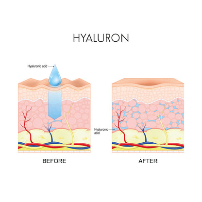 Christmas Set No. 2 -  Night- and Day Cream