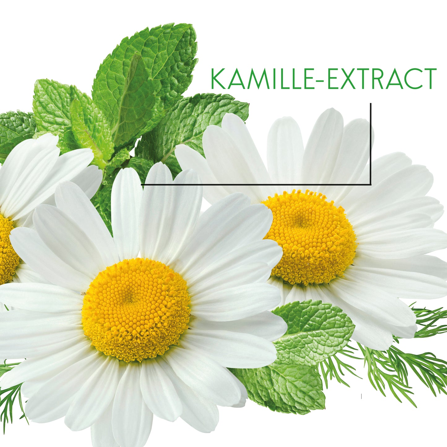 PURE SKIN TONIC - Calming Clarity