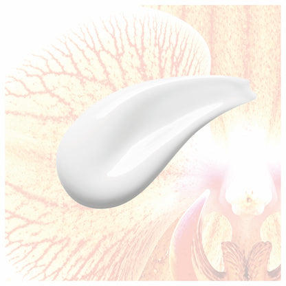 Orchideen Stammzellen Lifting Serum